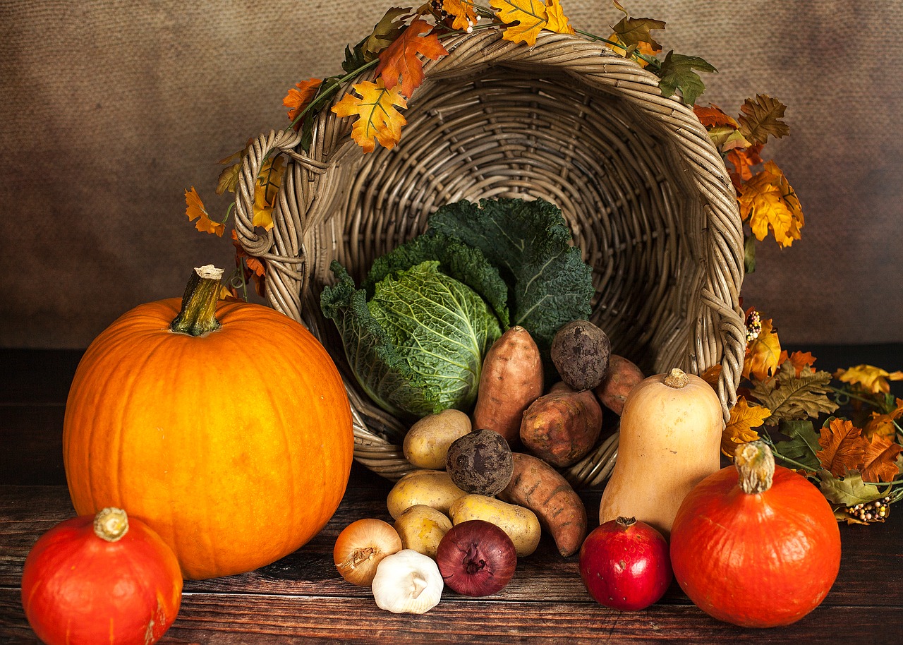 Jesienny zbiór warzyw i owoców